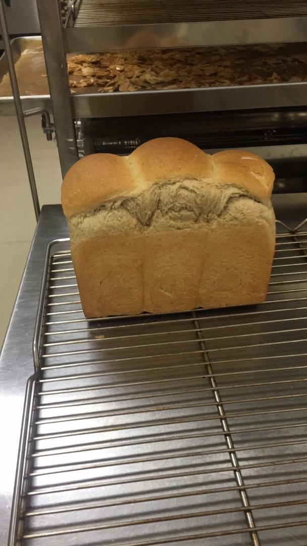 黑全麦波兰种吐司，这么柔软简直怀疑你是个假全麦！