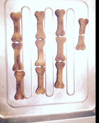 【炼乳脆饼•硬】非常简单的硬饼干