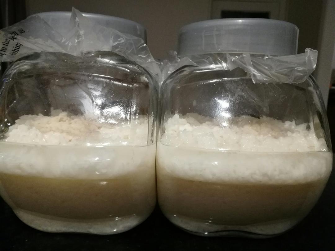 酒酿 (酒酿系列一）