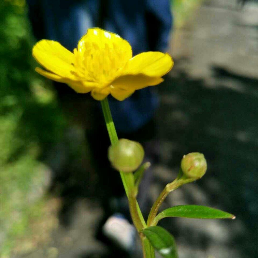 手机用户2176_vj06娜