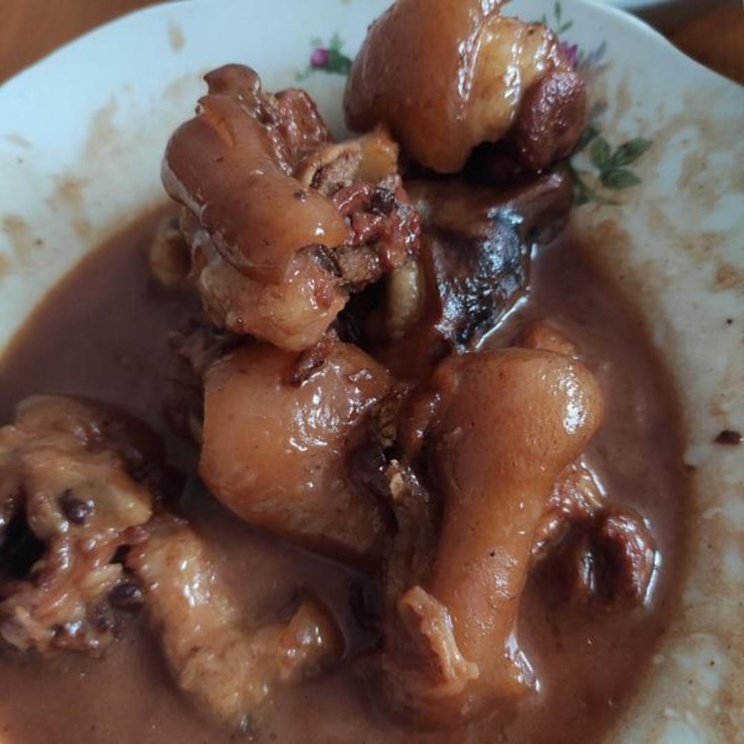 金豆龟要吃饭