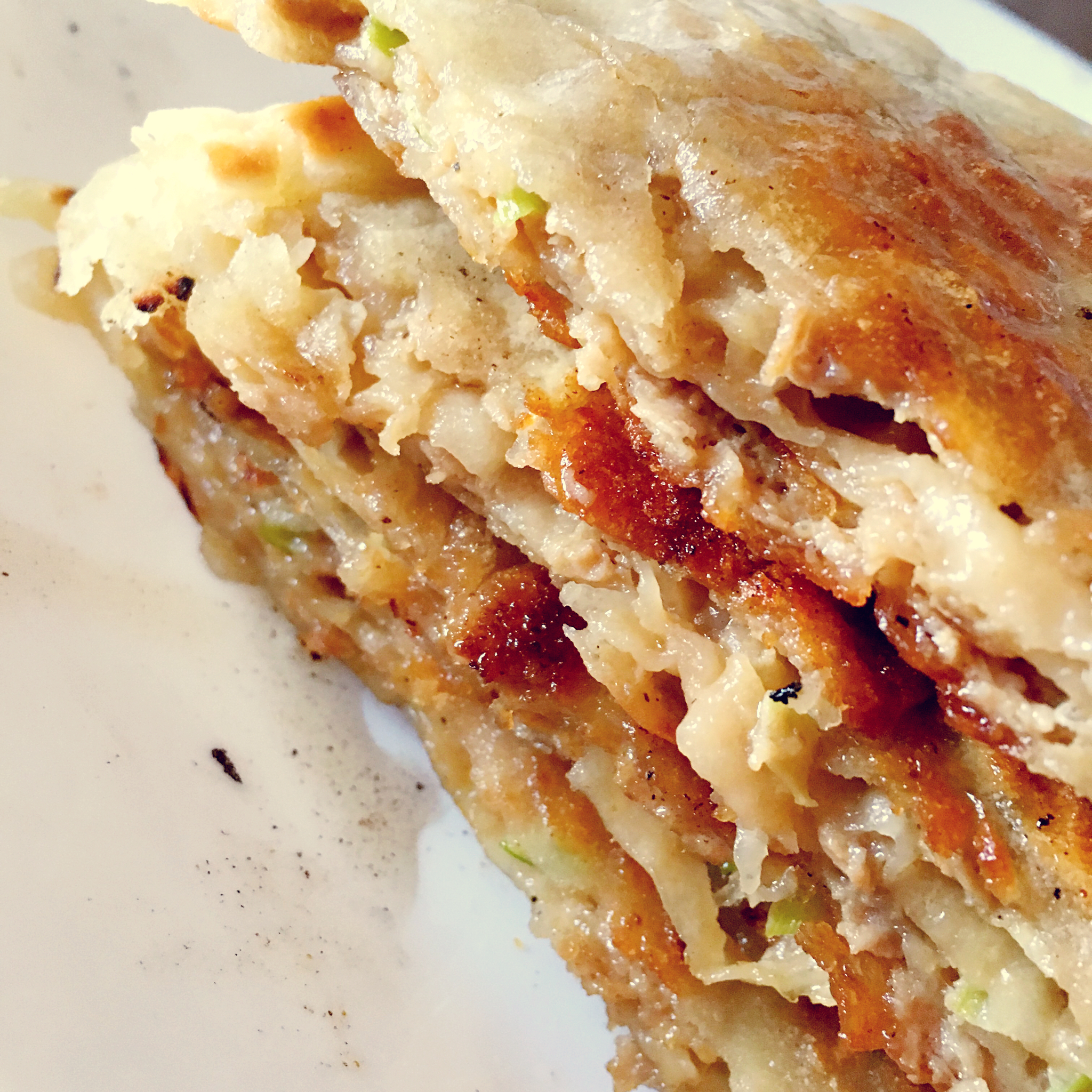 汤氏猪肉大葱肉饼