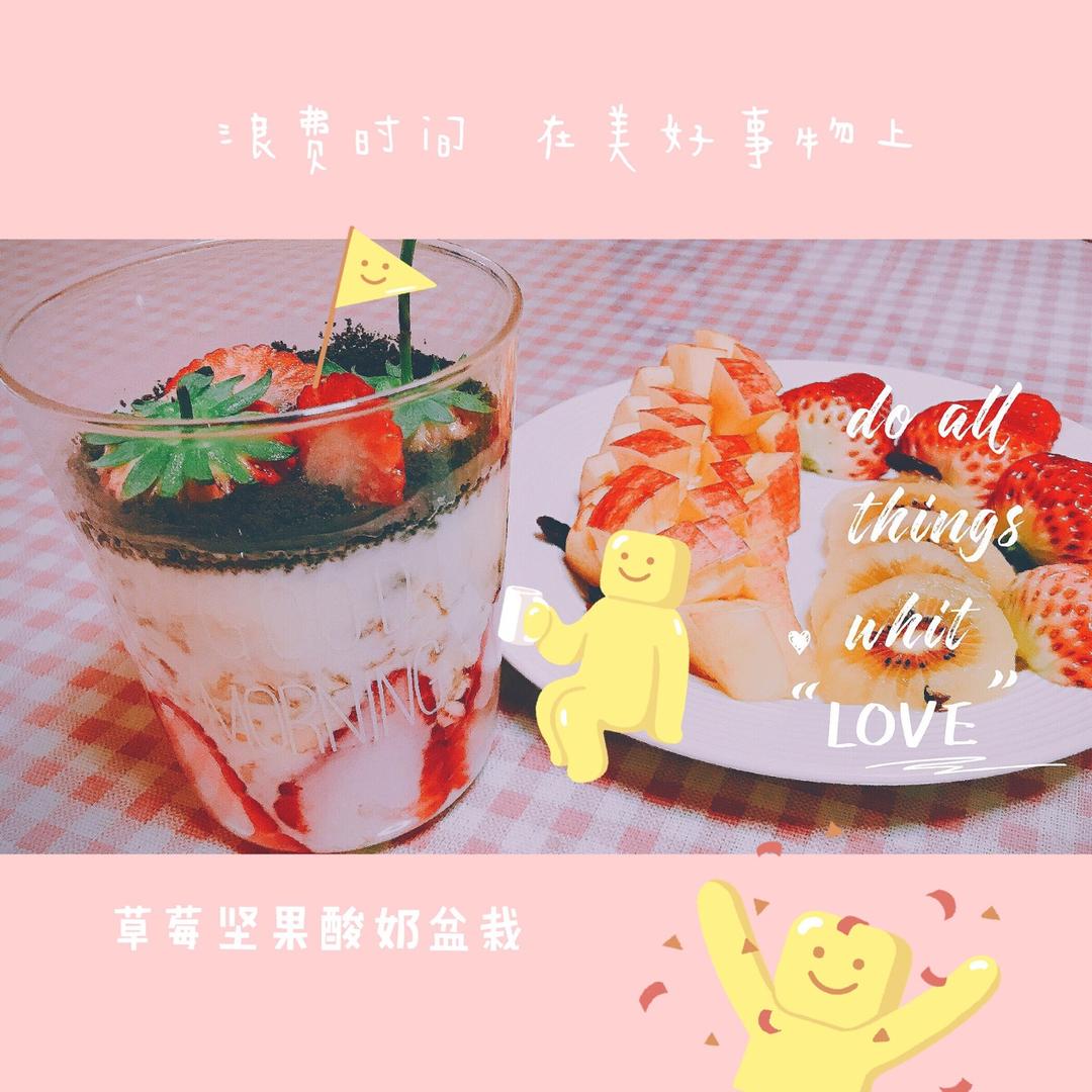 草莓🍓盆栽