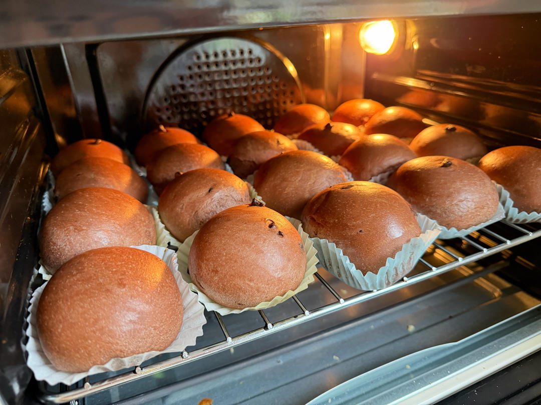 巧克力豆豆包（一次发酵）