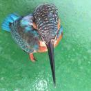 手机用户5632_6zta