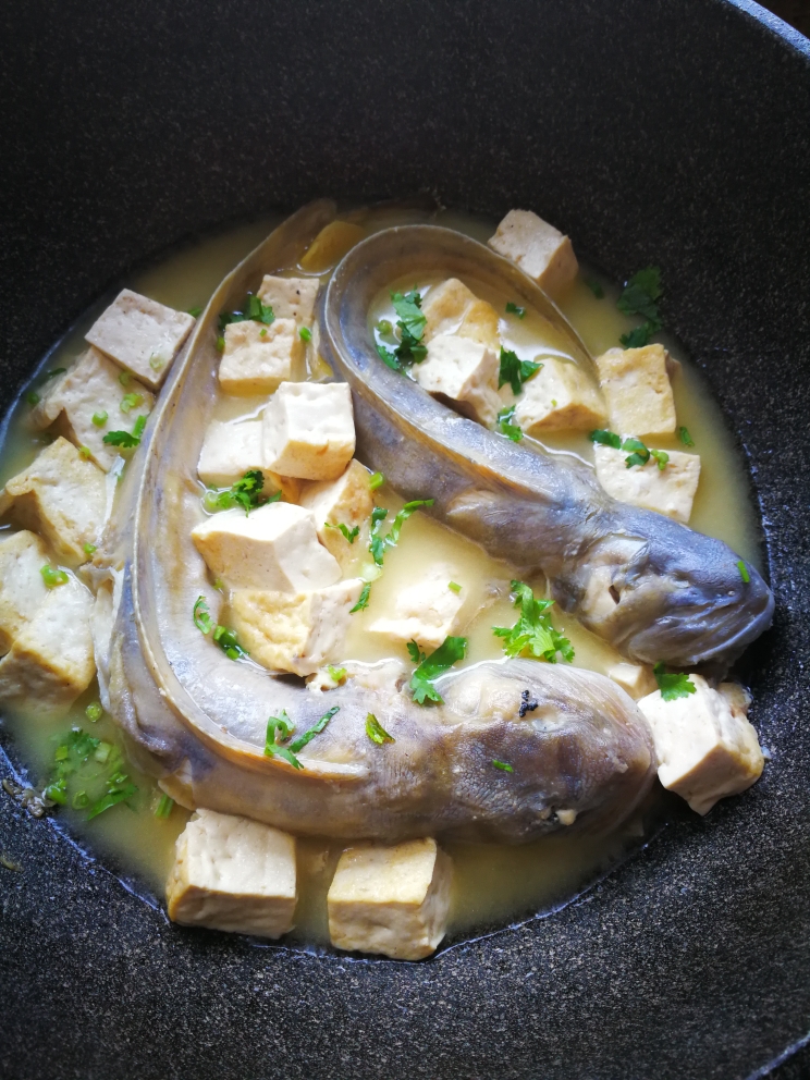 海鲶鱼炖豆腐的做法 步骤9