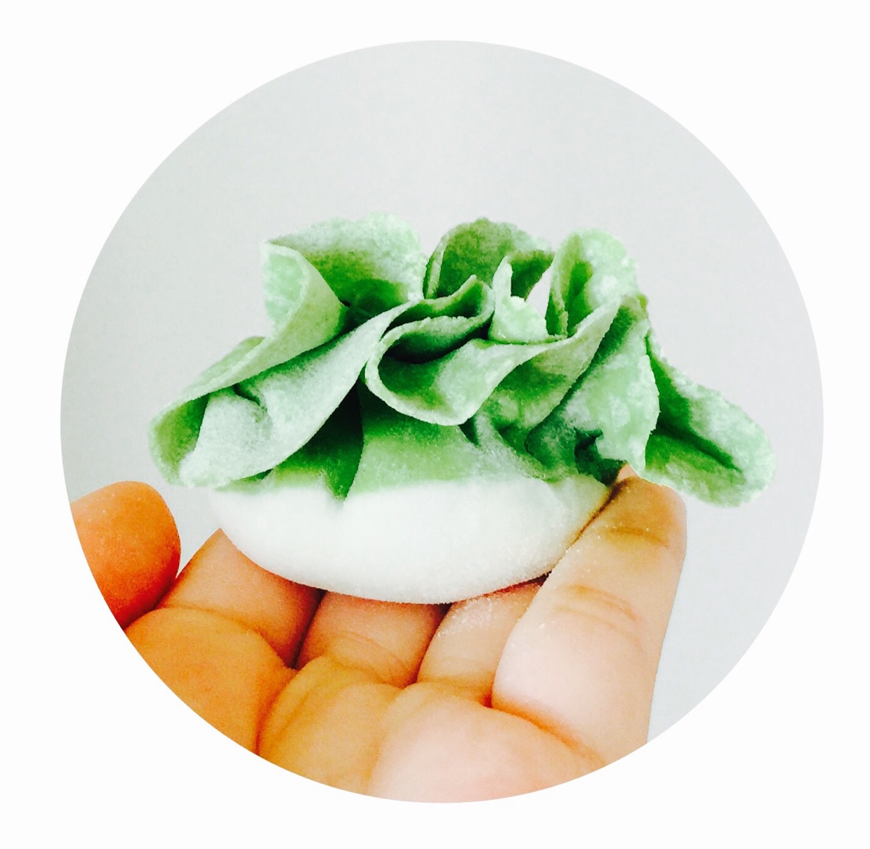 翡翠白玉白菜饺子详细版（附翡翠白玉白菜饺子包法，翡翠白玉饺子皮两种制法，面包机和面，翡翠白玉烧卖，各种馅料搭配）
