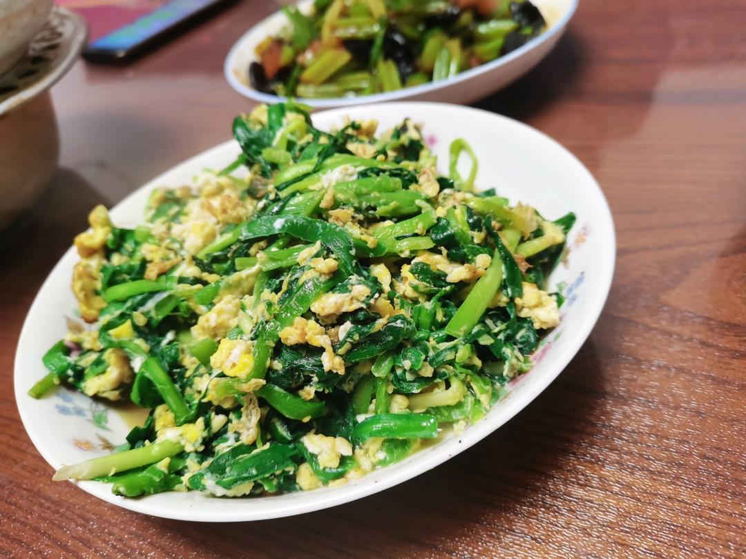 〈韭菜炒鸡蛋〉，超级家常菜🥢，欣小厨 😉