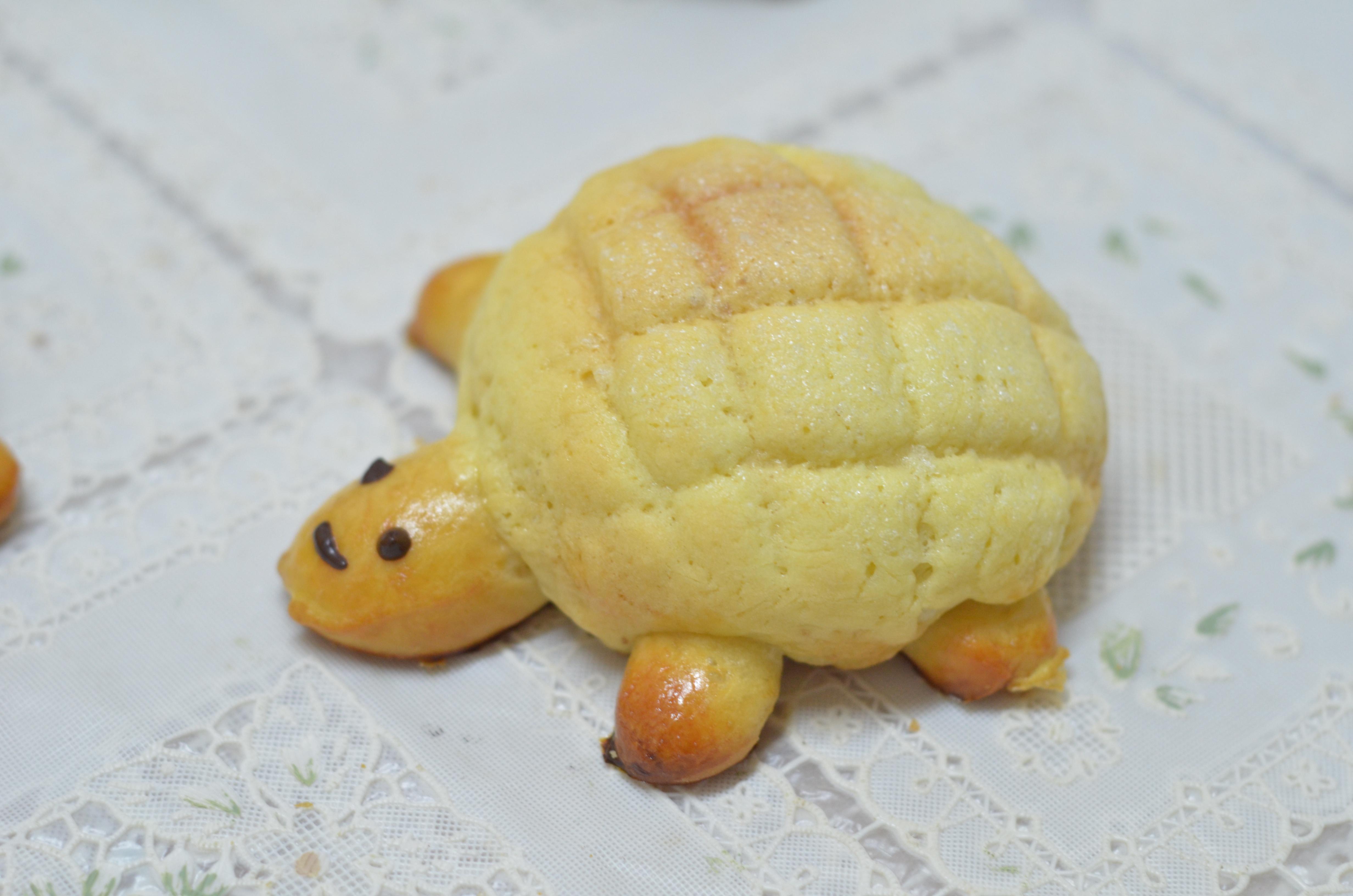 小乌龟菠萝包