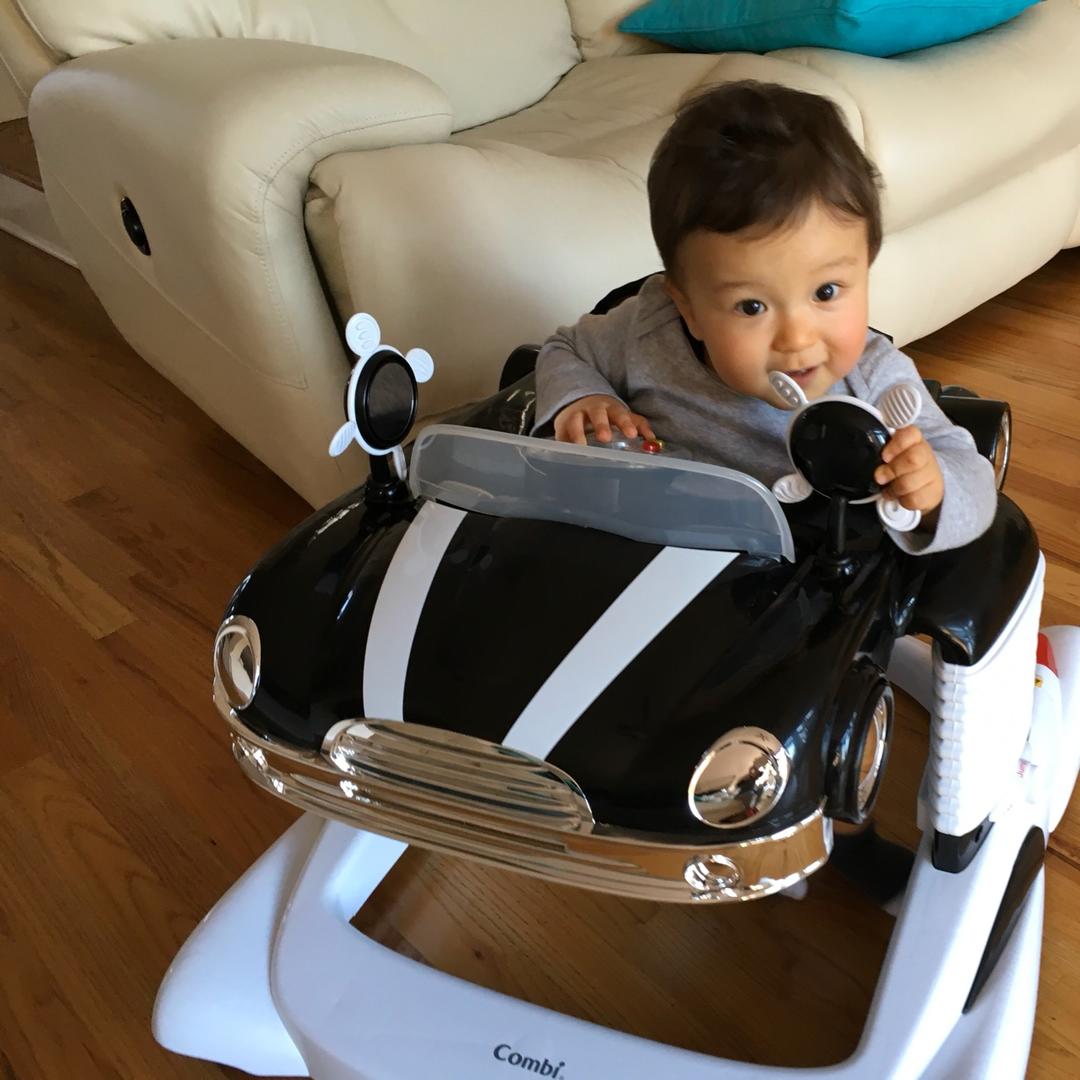 胡诌八咧的小掌柜