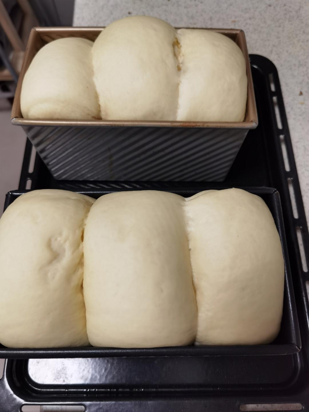 波兰种牛奶吐司