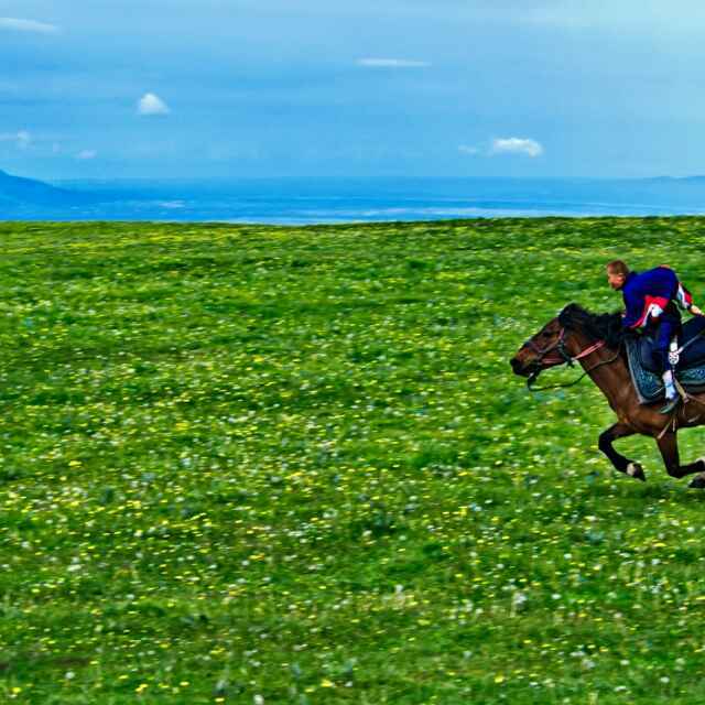 手机用户1981_hj32