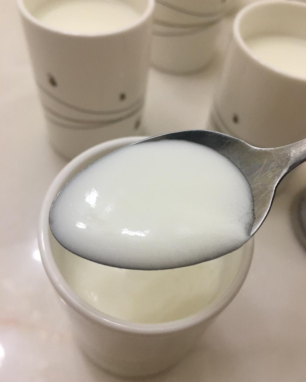 无需酸奶机的自制酸奶