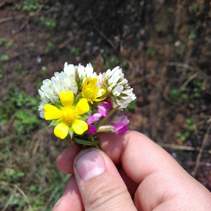 手机用户7554_mg7b