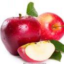 手机用户2954_t596