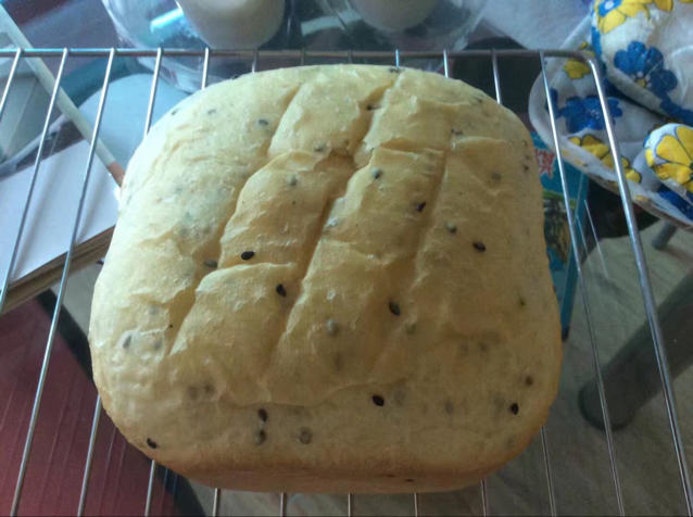 面包机版 普通面包