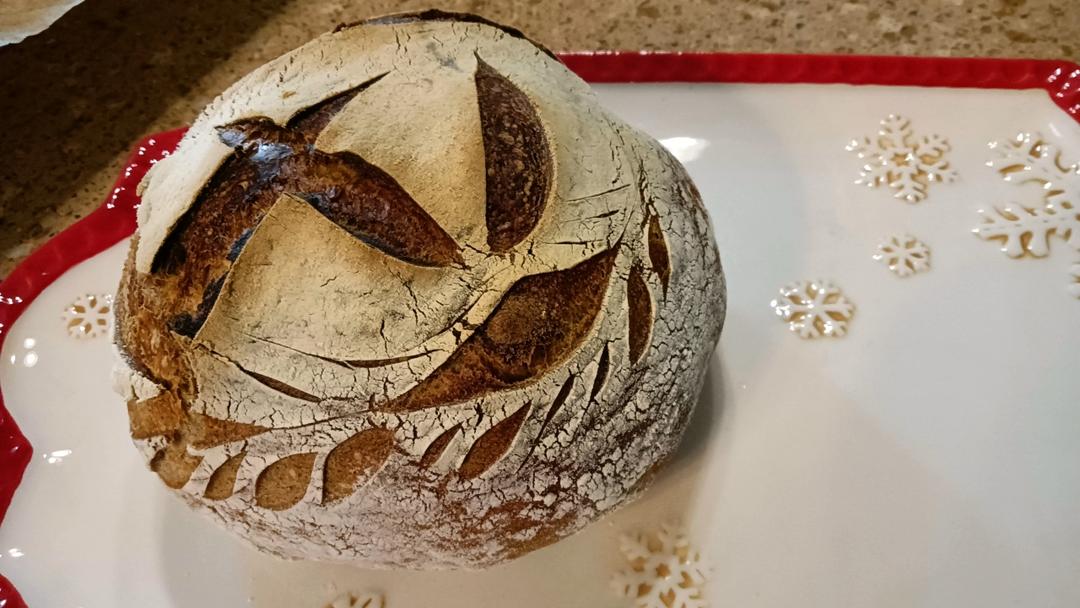 视频教程 天然酵种欧包 基础配方＆制作流程