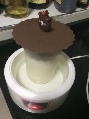 里海酸奶希腊酸奶~酸奶机版的做法 步骤2