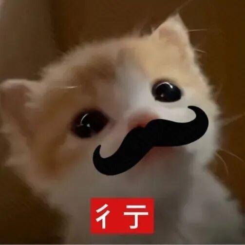 爱丽丝青