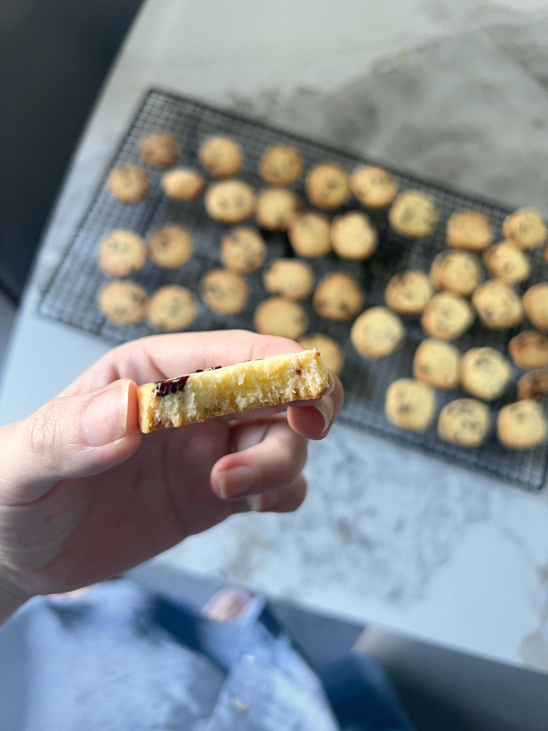 蔓越莓曲奇饼干/零失败/新手必做饼干