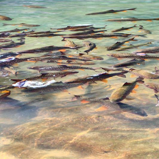 爱晒太阳的海伦