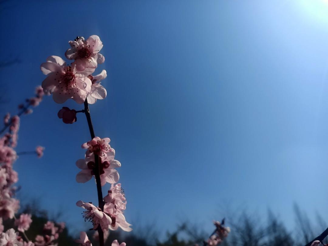 懒虫爱上美食