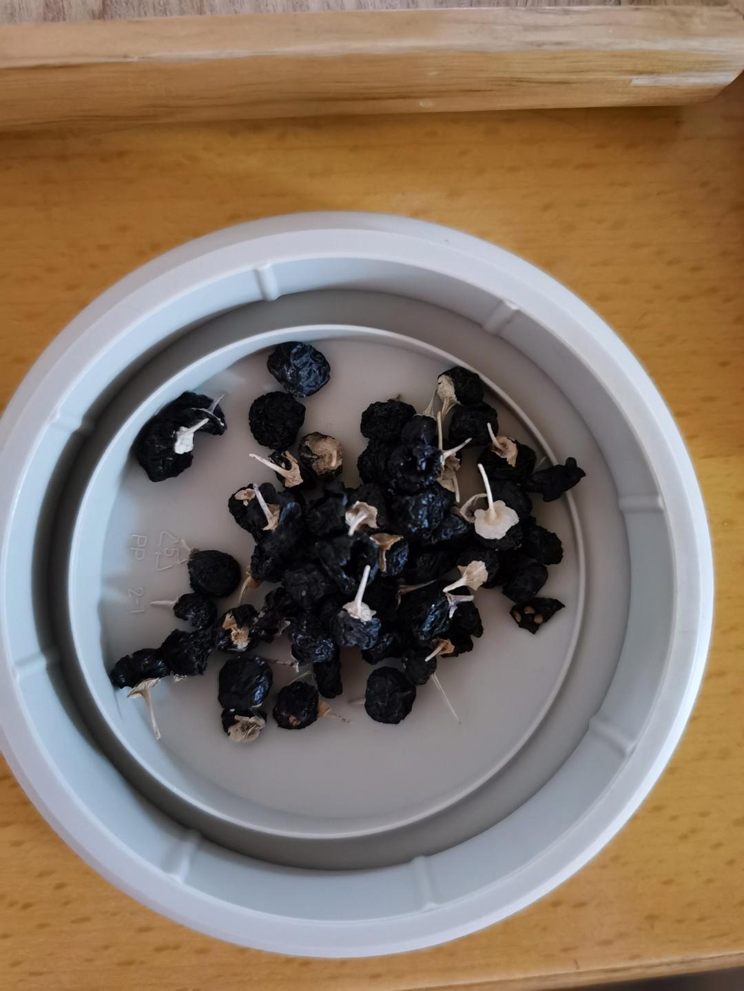 红枣姜奶茶【3月北鼎养生壶食谱】