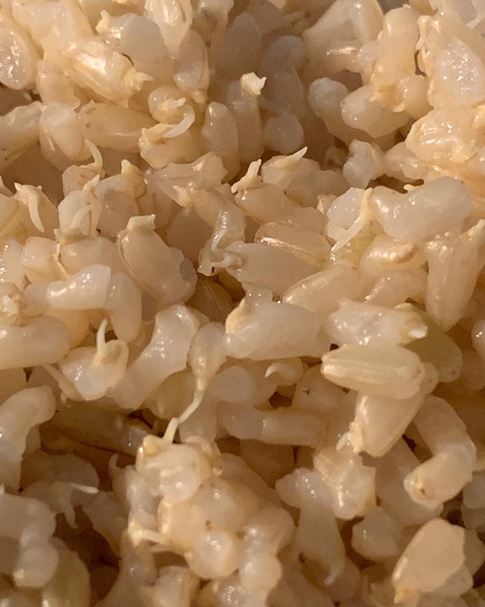 企鹅窝圈做的发芽糙米饭丨健康·三餐