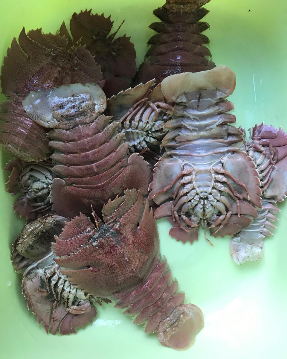 清蒸琵琶虾