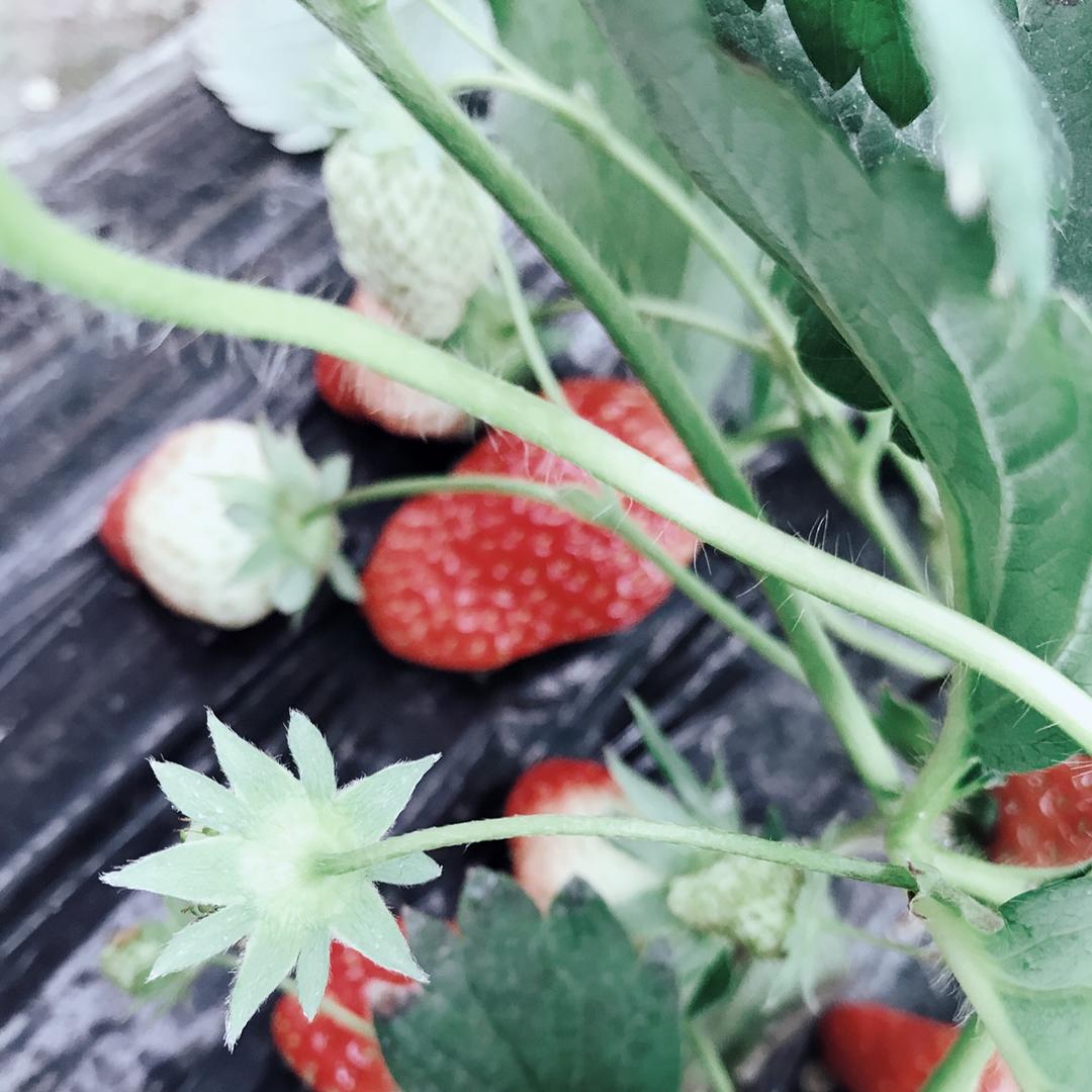 爱折腾的小伙伴