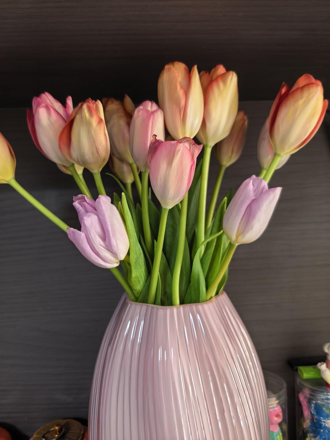 最美味的家常菜