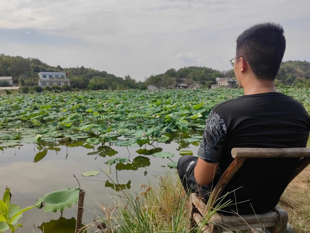 欢颜渐远