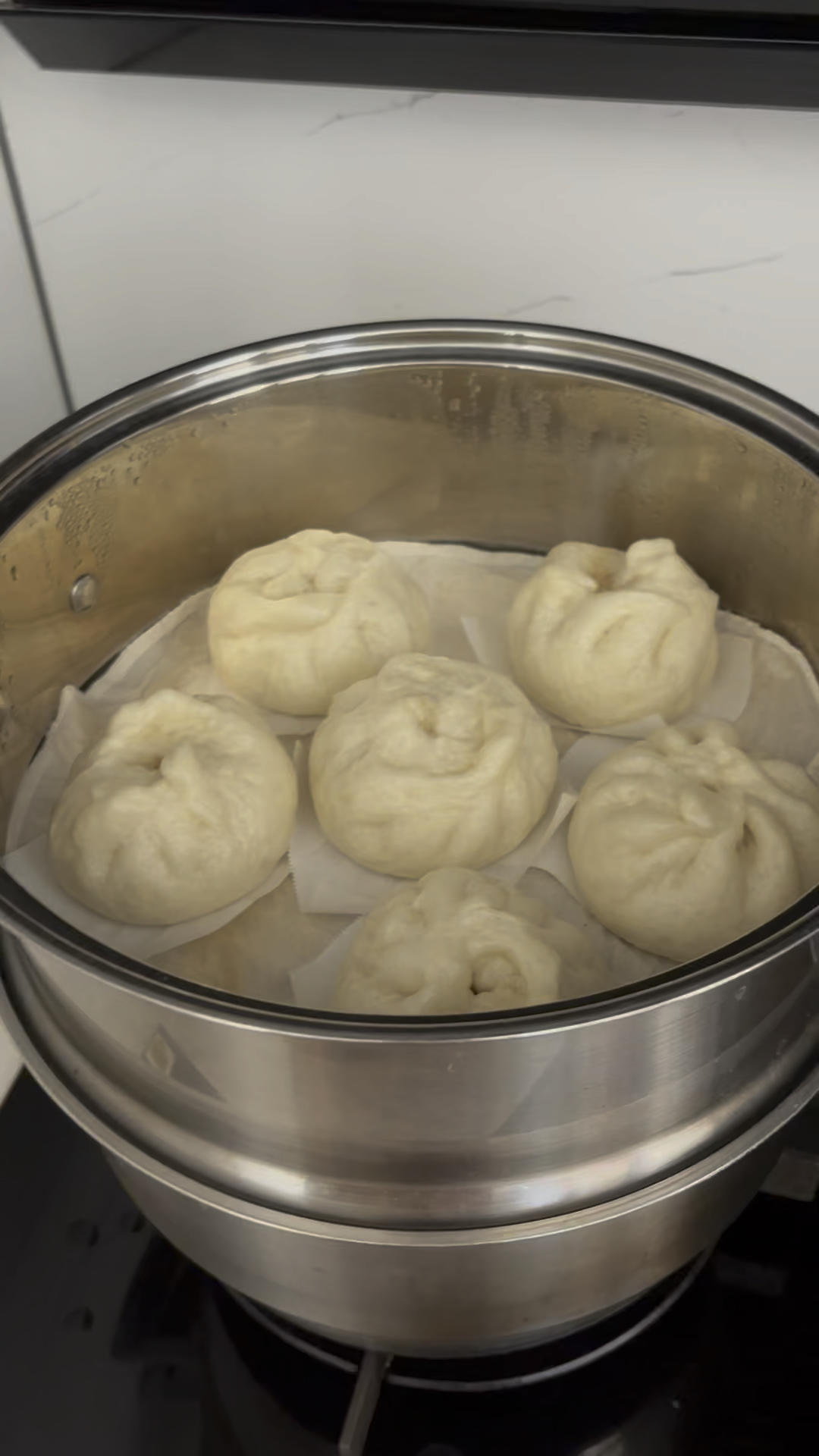 一次发酵肉包子