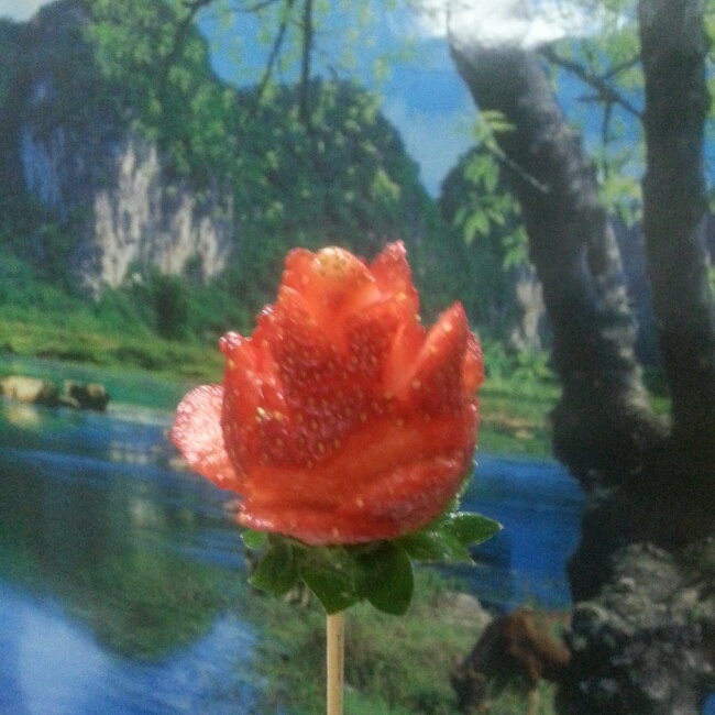 草莓玫瑰花