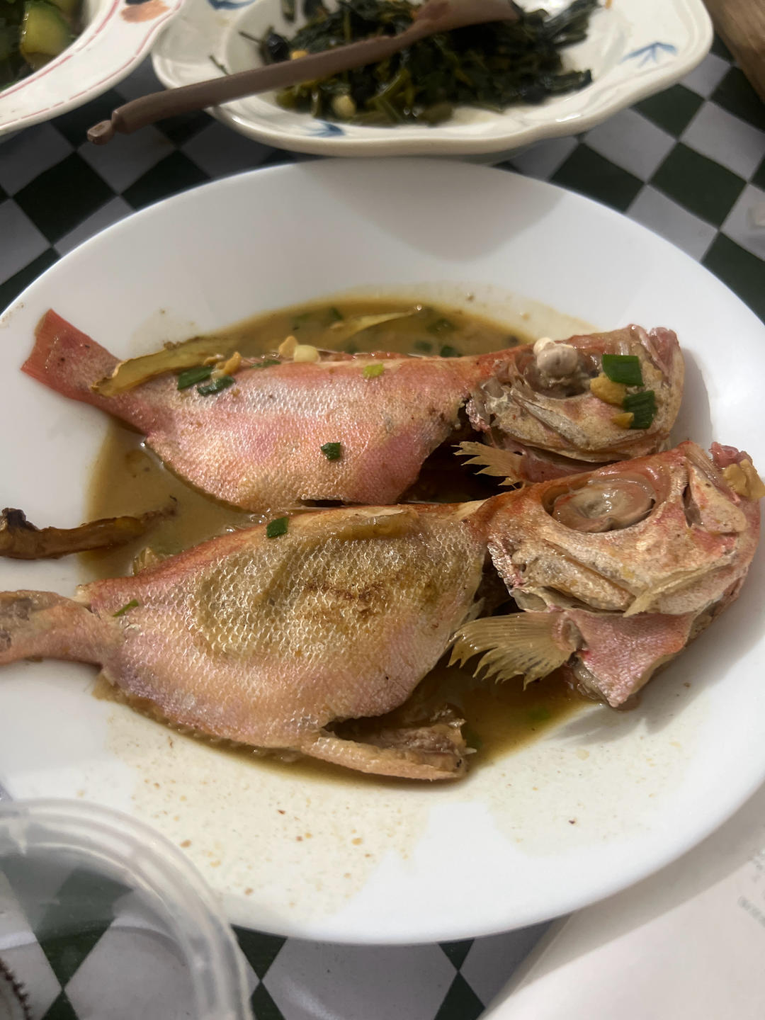 豆酱红目鲢