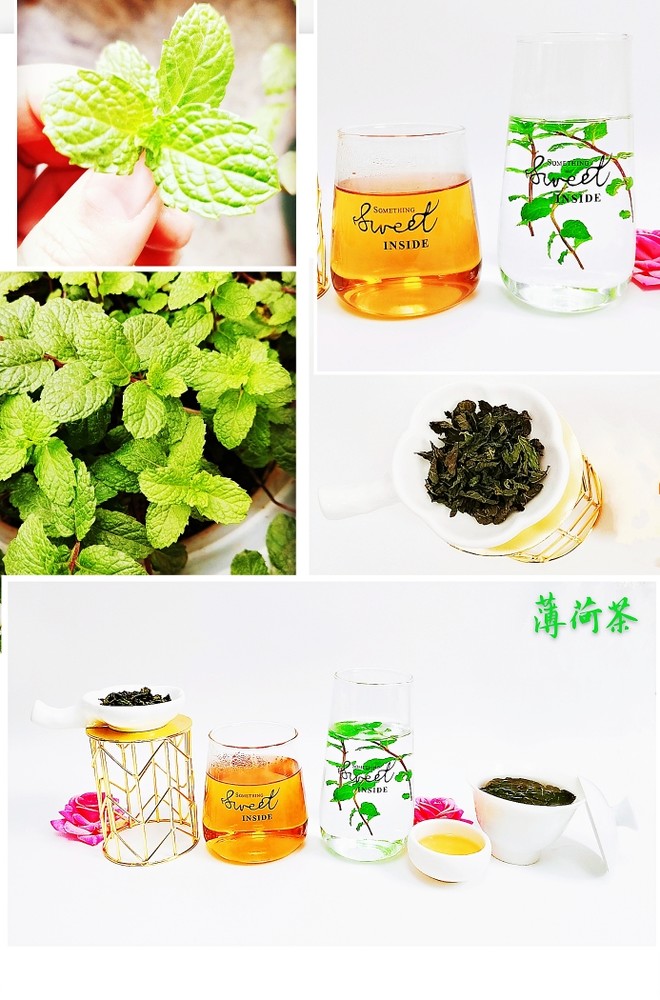 薄荷茶叶 薄荷干 新鲜花茶薄荷叶 的做法步骤图 高端品牌童装1折起 下厨房 薄荷茶叶 薄荷干 新鲜花茶薄荷叶 的做法步骤图 高端品牌童装1折起 下厨房