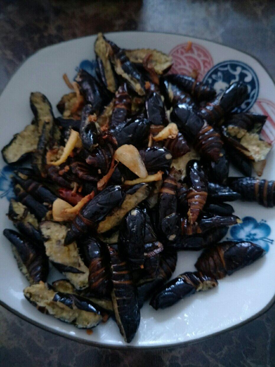 干煸茧蛹