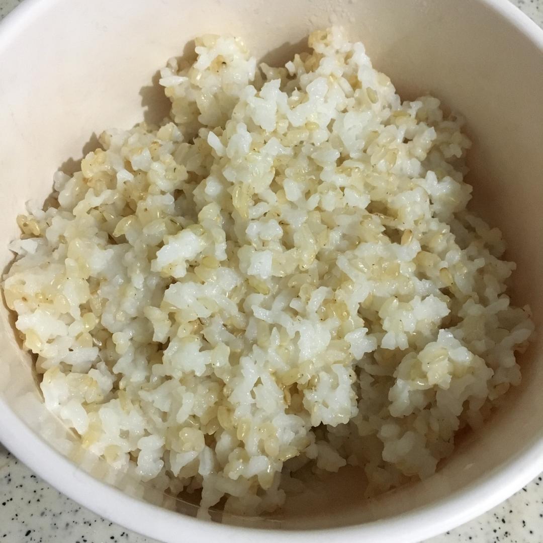 sanaffi做的糙米饭