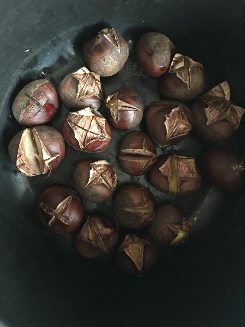 水煮小栗子（开花咯～）