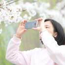 家有大小米被注册掉啦