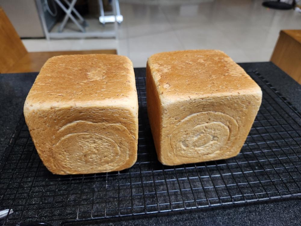 🍞10X10水立方｜可爱小吐司｜经典白吐司
