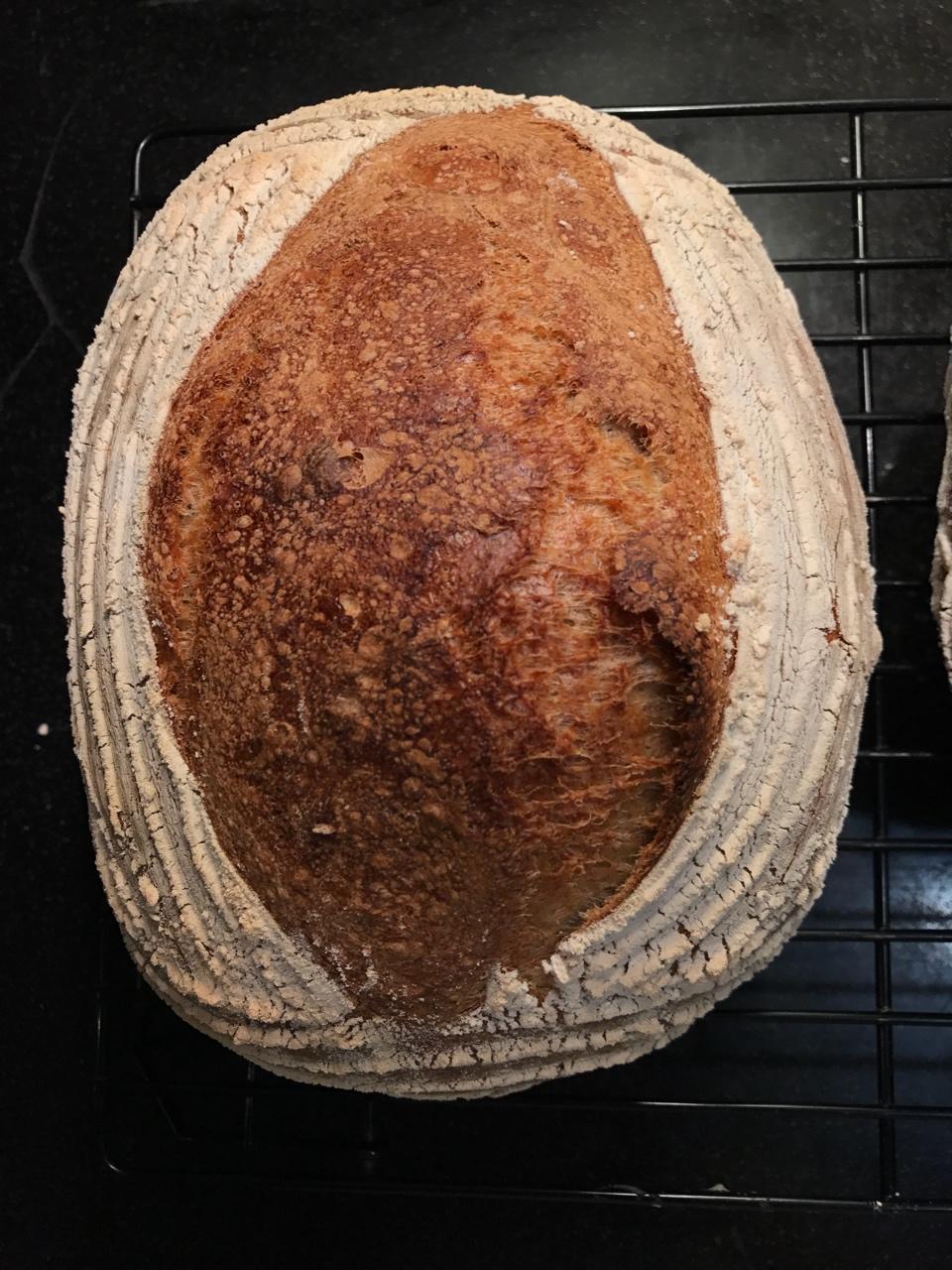 【Ken Forkish】Field blend #1轻黑麦天然酵种欧包