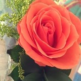 Jackie_L