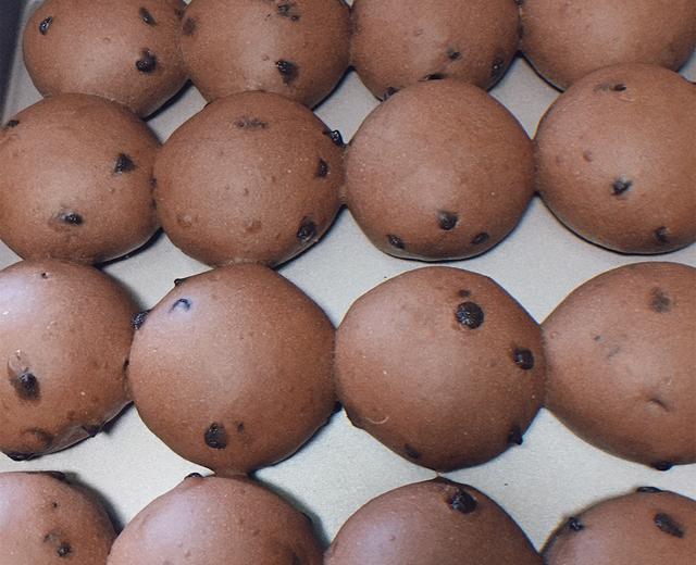 普通面粉可可巧克力餐包（一次发酵）的做法