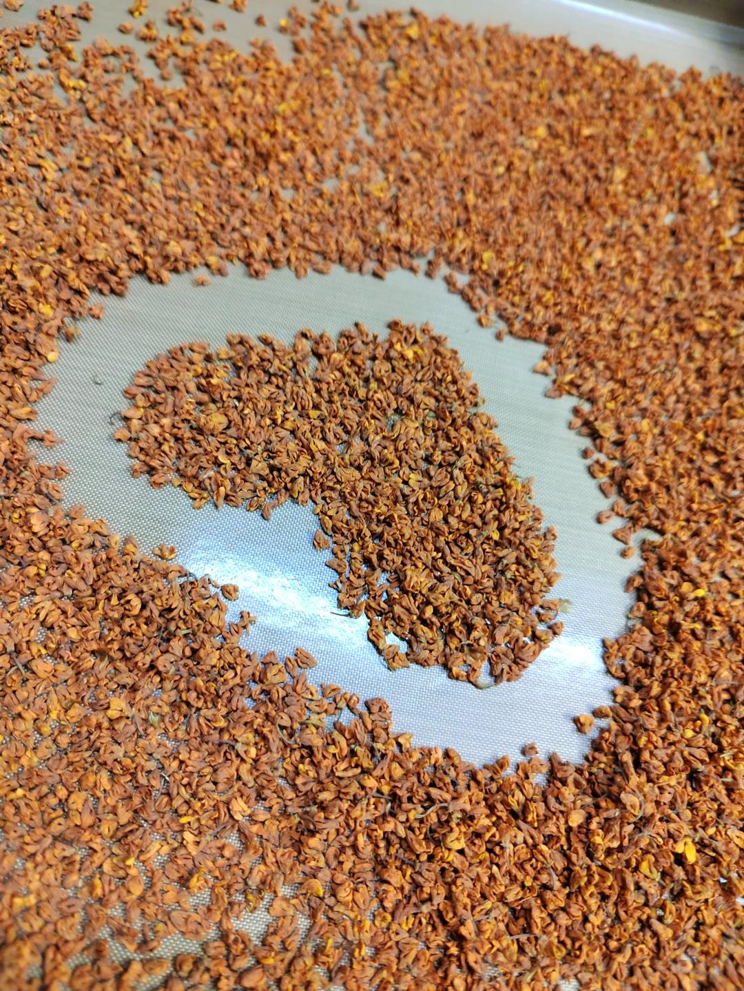 自制桂花干（烤箱版）