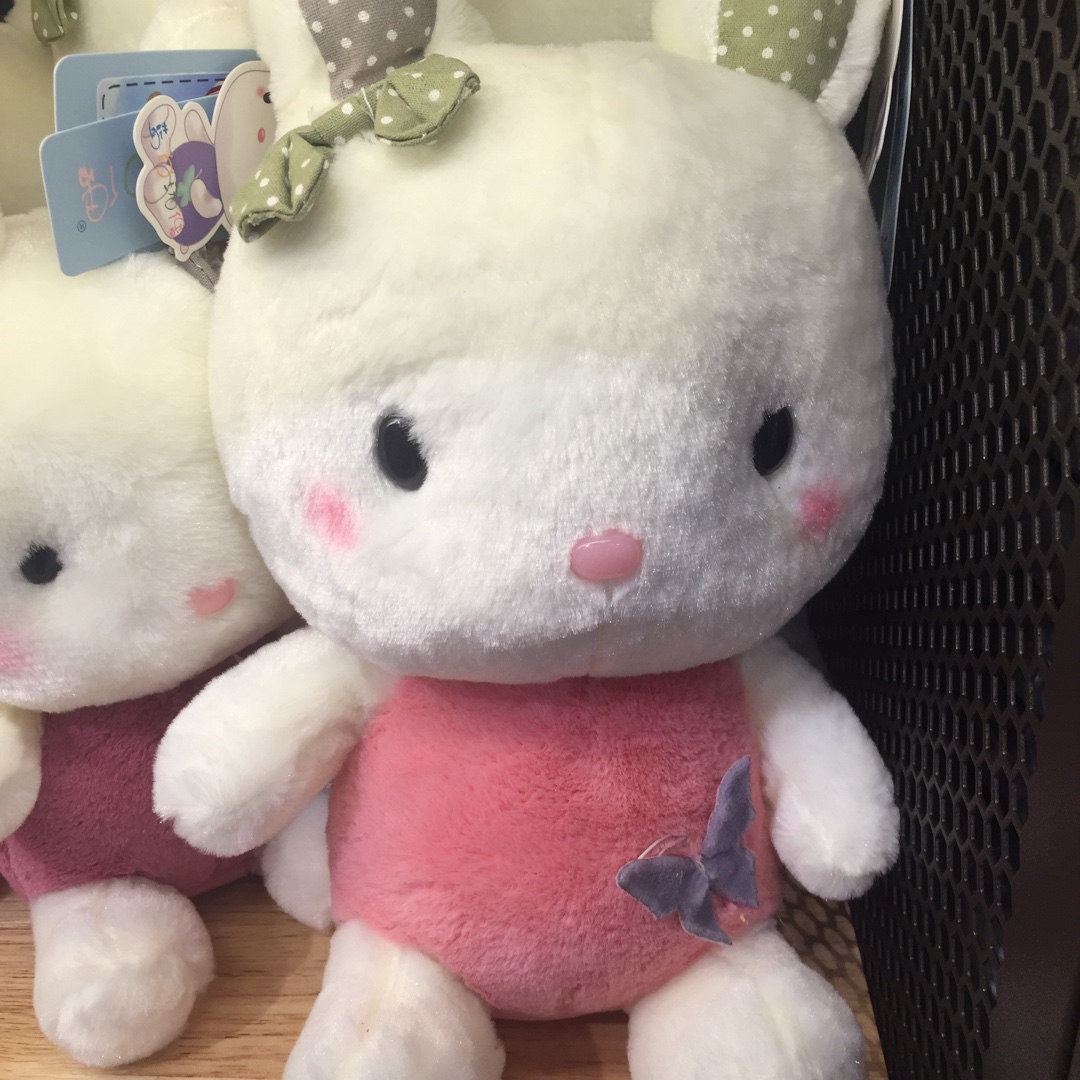 米其林星级小厨