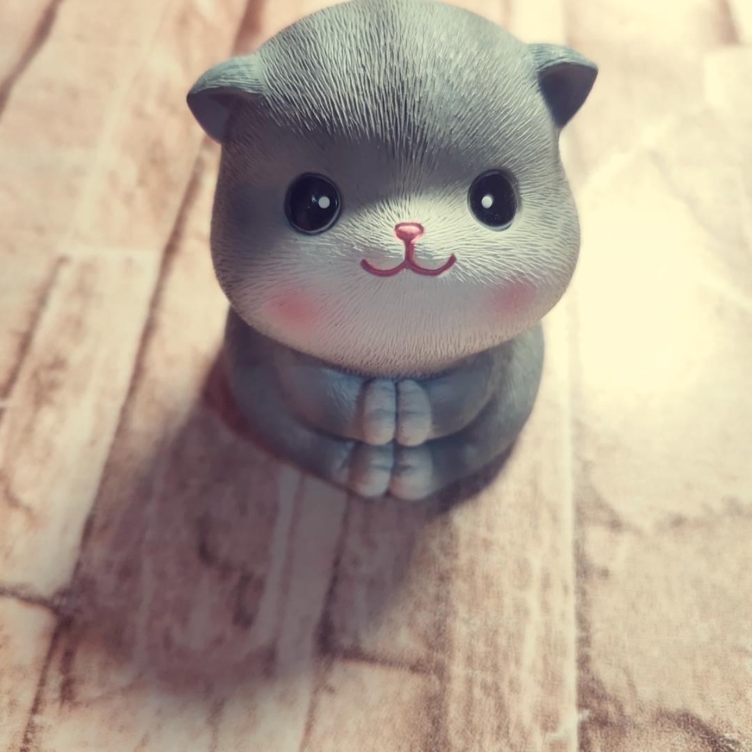 可爱猫咪呢