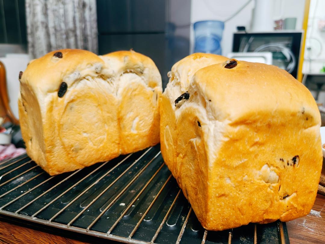 不好吃你打我的葡萄干吐司