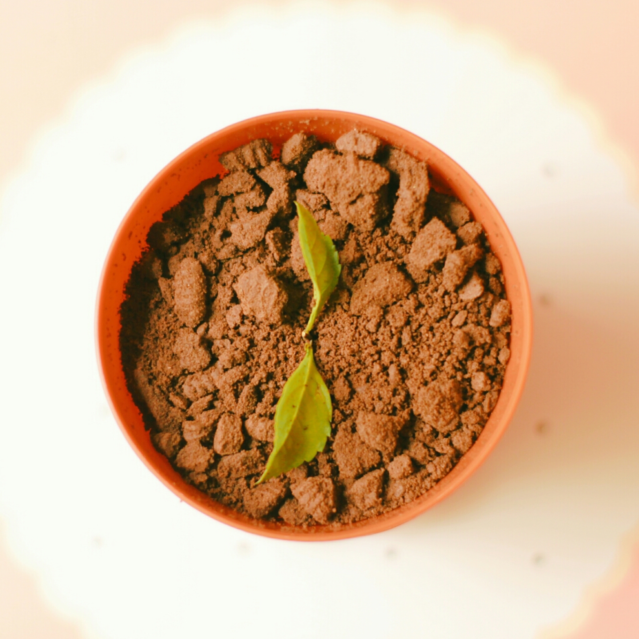 《Tinrry下午茶》教你做木糠布丁蛋糕