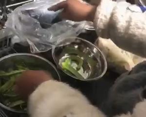 土鸡炒荷兰豆的做法 步骤1